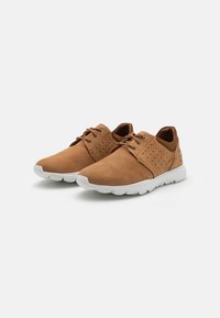Panama Jack JULIUS - Trainers - camel