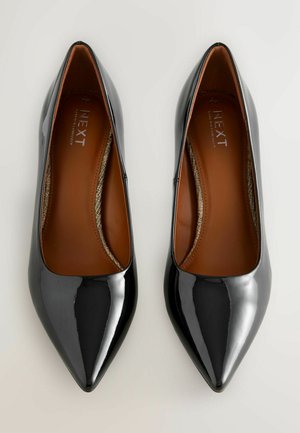 Musta läikiv lakknahast teravnurkse varbaga lamedad kingad, sileda viimistlusega ja pruun sisemine vooder. Kingadel on minimalistlik disain ilma kaunistusteta.