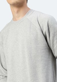 Felpa grigia chiaro con colletto rotondo e maniche raglan, realizzata in morbido tessuto misto cotone. Presenta una finitura testurizzata e sottili dettagli di cucitura.