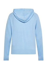 Felpa con cappuccio azzurro chiaro, maniche lunghe, polsini e vita a coste. Tessuto morbido con un design semplice, privo di decorazioni.