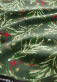 Next REGULAR FIT - CHRISTMAS SET  - Tights - green