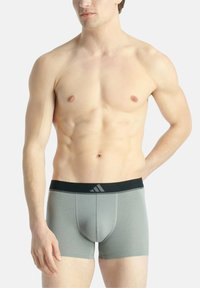 Boxer-briefs gris avec une taille élastique noire arborant le logo Adidas. Texture lisse et forme ajustée, conçues pour le confort et le soutien.
