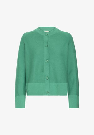 Zaļais kardigans, izgatavots no mīkstas adītas materiāla, ar apaļu kakla izgriezumu, priekšējo pogu aizdari un ribotām piedurknēm un apakšmalu.