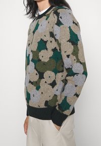 Strickpullover mit einem kreisförmigen Muster in Beige, Grün und Grau. Gerippte schwarze Bündchen und Saum verleihen Struktur. Glatte Textur.