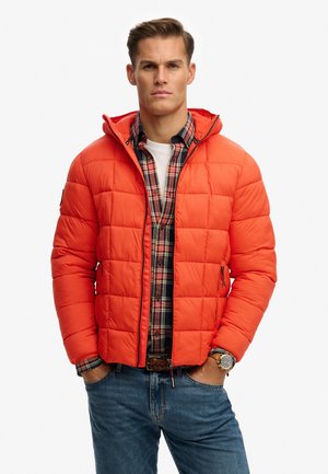 HOODED BOX QUILT FUJI LITE  - Chaqueta de invierno - peak orange