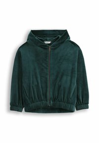 Zielona welurowa bluza zapinana na zamek z wysokim kołnierzem, elastycznym pasem i bocznymi kieszeniami. Miękka tekstura, długie rękawy i dopasowany krój.