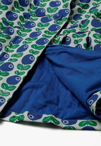 MINOTI SHOWERPROOF - Regenjas - green blue white