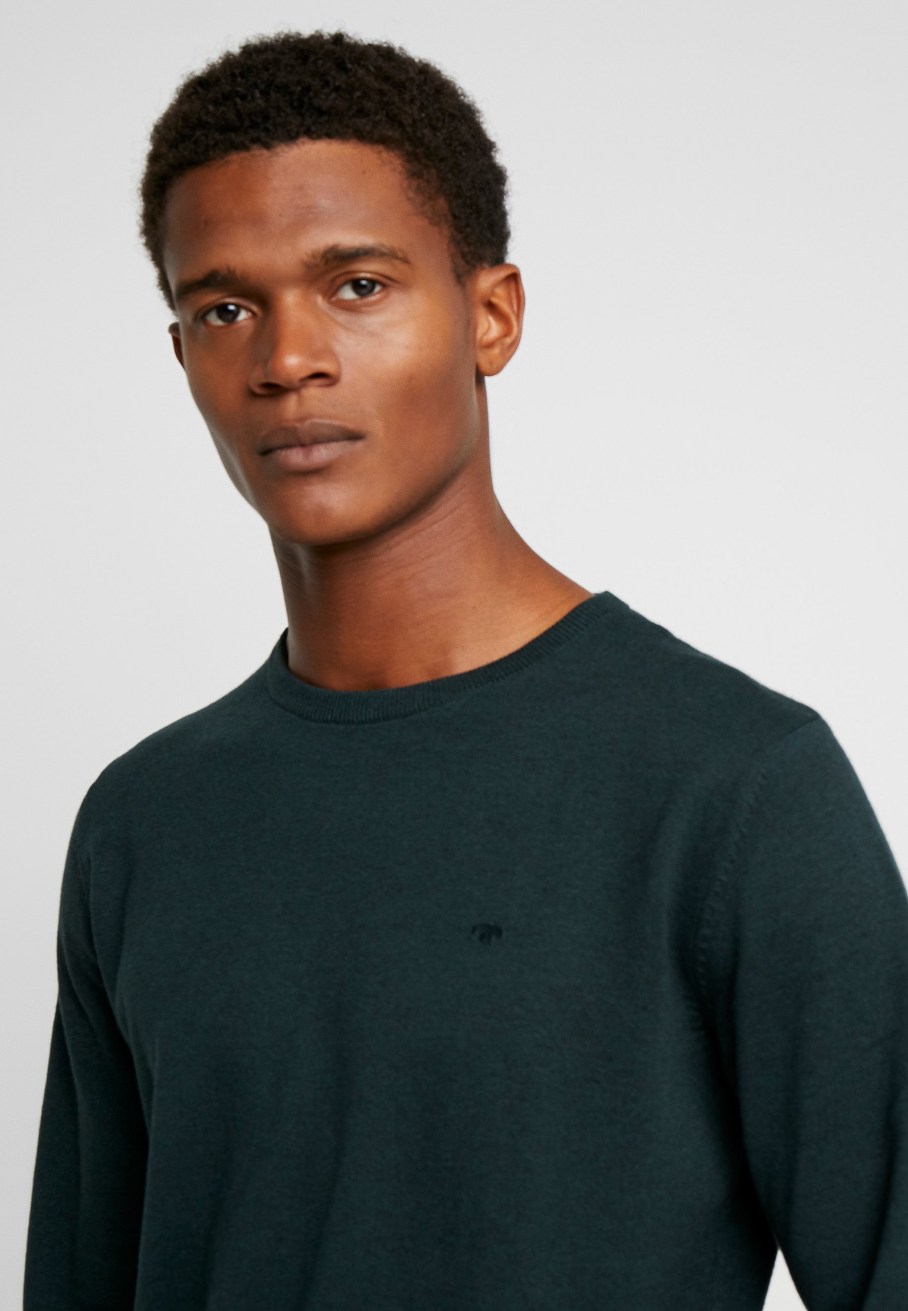 TOM TAILOR BASIC CREW NECK Strikkegenser dark gable TOM TAILOR BASIC CREW NECK - Strikkegenser - deep pond green melange