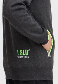 Sudadera gris con un bolsillo con cremallera que presenta acentos verdes, logo "ISLD" y texto "Desde 1993" en bordado blanco. Textura suave.
