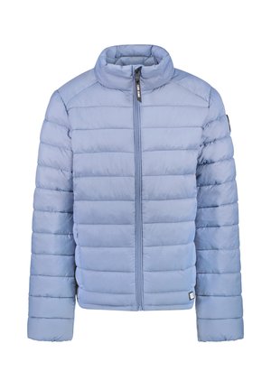 JAS STINGER - Winterjas - grey blue