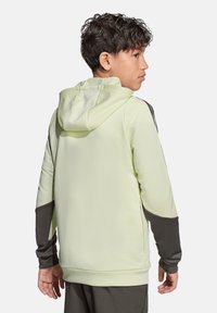 Haut à capuche vert clair en tissu lisse avec de longues manches gris foncé et une fermeture éclair sur le côté. Il présente une capuche spacieuse et une coupe décontractée.