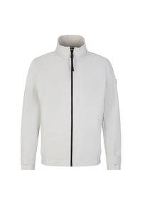 Hellgraue Jacke mit hohem Kragen, Reißverschluss vorne und strukturierten Schultern. Sie hat eine glatte, matte Textur und keine sichtbaren Muster.