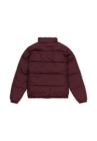 Element Vinterjakker - red