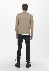 Only & Sons ONSWYLER LIFE CREW - Camisola - incense