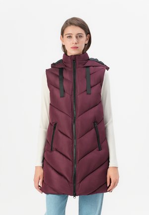 JDYSKYLAR PADDED HOOD - Waistcoat - fig