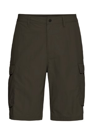 Jack Wolfskin, DUNELAND M - Outdoor Shorts - obsidian moss