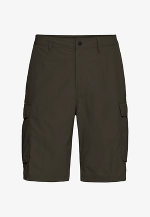 Jack Wolfskin, DUNELAND M - Outdoor Shorts - obsidian moss