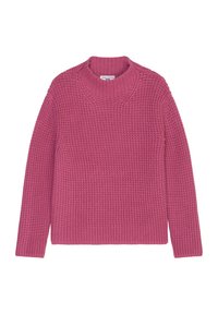 Unausgewählt, wild aster