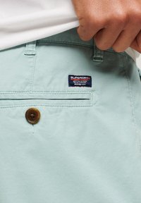 Jasnozielone szorty wykonane z tkaniny, z zapięciem na guzik i metką z logo. Gładka tekstura z detalem w postaci tylnej kieszeni.