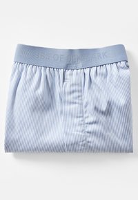 Calzoncillos a rayas azul claro con una banda elástica suave grabada con "JBS de Dinamarca". Presenta rayas blancas verticales en un tejido de sarga.
