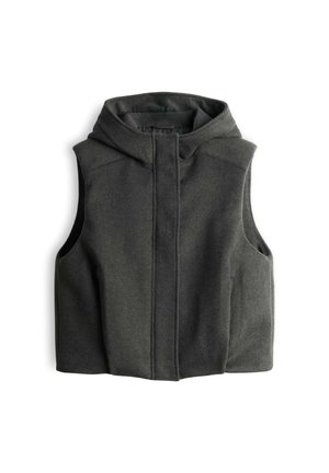 OPUS, RELAXED FIT HOODED SHAPE - Bodywarmer - sage grey