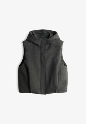 OPUS, RELAXED FIT HOODED SHAPE - Weste - sage grey