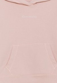 Sudadera de color rosa claro con bolsillo tipo canguro y logo blanco bordado de "Abercrombie" en el pecho. Tejido suave con textura lisa.