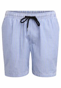 Μπλε και λευκά κάθετα ριγέ σορτς με ελαστική μέση και μαύρο κορδόνι σύσφιξης στο μπροστινό μέρος.