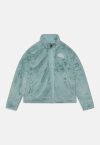 The North Face REVERSIBLE SHASTA JACKET UNISEX - Vinterjacka - muted pine