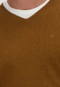 V-hals, lange mouwen trui in bruin, gemaakt van een zachte gebreide stof. Heeft een witte kraag eronder en een klein logo op de borst.