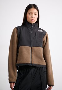 The North Face W RETRO DENALI JACKET - Fliisjakk - smokey brown/black