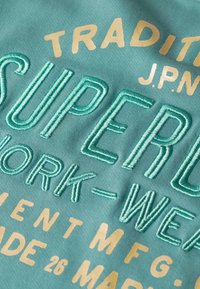 Superdry & Co Sudadera - green