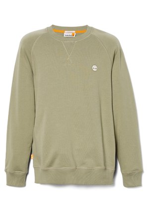 Sudadera verde claro con cuello redondo, puños y dobladillo acanalados. Presenta un pequeño logo en el pecho. Textura suave, diseño casual.