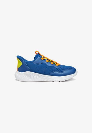 Geox, SPRINTYE FAST - Sneakers basse - royal/orange
