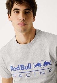 Grijze katoenen t-shirt met een blauw "Red Bull Racing" logo en twee blauwe stieren graphics, ronde halslijn, korte mouwen.