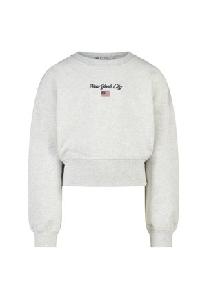 Lichtgrijs cropped sweatshirt met lange mouwen, geribbelde manchetten en zoom, voorzien van de tekst "New York City" en een kleine Amerikaanse vlag aan de voorkant.