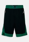 NBA BOSTON CELTICS SHORT  - Klub merchandise - black/white