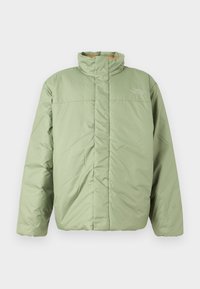 SIURANA JACKET - Winter jacket - bark mist/utility brown