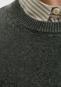 Mørkegrøn strikket sweater med en ribbet rund halsudskæring. Nedenunder ses en lysfarvet, stribet skjorte krave med en knapdetalje.