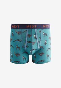 Herren Boxershorts in Türkis mit Hundemuster. Aus weichem Stoff, elastischem Bund in Marineblau mit "NEXT"-Logo. Mittellanger Schnitt.