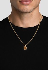 Guldfarvet kæd necklace med en hexagonal vedhæng med en brun stenindsats, båret over en sort t-shirt.