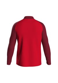 Rotes Langarmshirt mit einem Design in Bordeaux-Raglanärmeln. Glatte Textur, gerader Schnitt und ein kleiner Kragen am Halsauschnitt.