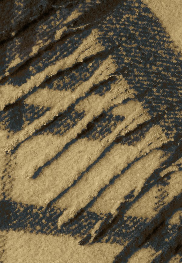 IHFRANCI - Scarf - curry4