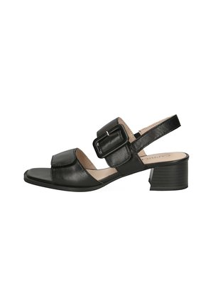 Sandale en cuir noir avec un bout arrondi, une sangle ajustable dotée d'une boucle carrée et un petit talon bloc. Texture lisse avec un minimum de détails.