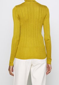 Sininen keltainen ribbinen pitkähiha, jossa on korkea kaulus. Ominaisuuksiin kuuluu tiukka siluetti ja teksturoitu kangas. Takaviisto näkyy.