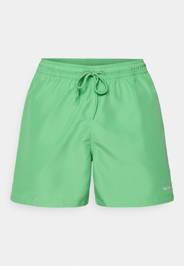 SWIM  - Swimming shorts - peppermint3