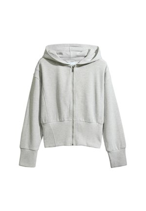 FULL ZIP - Felpa con zip - grey