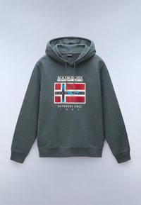 Sudadera con capucha de algodón de color verde oscuro. En la parte delantera presenta una impresión gráfica con un diseño en rojo, azul y beige, y el texto: "AL AIRE LIBRE DESDE 1987."