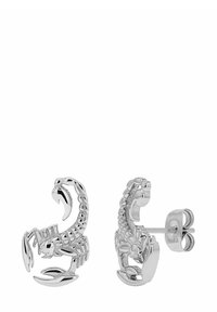 Pendientes en forma de escorpión de plata que cuentan con un diseño detallado del cuerpo y un acabado pulido, con un respaldo y broche mariposa para un uso seguro.