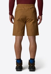 The North Face LIMESTONE - Shorts - utility brown